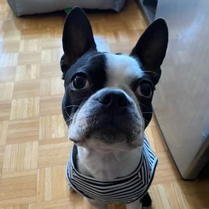 Meet your Posher, Lizette